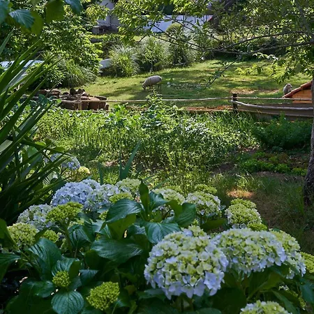 Sky House By Everkind * Bicas