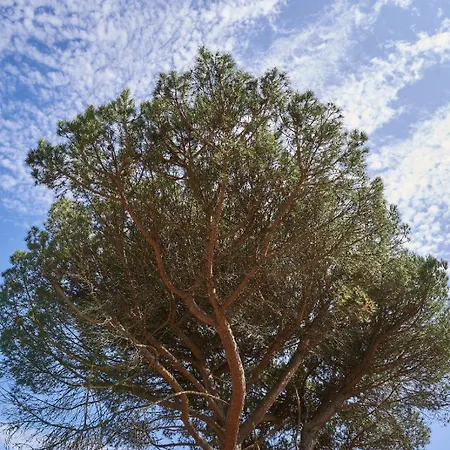 Sky House By Everkind