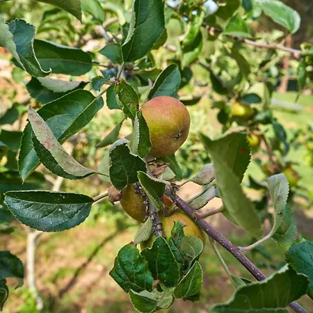 Sky House By Everkind *