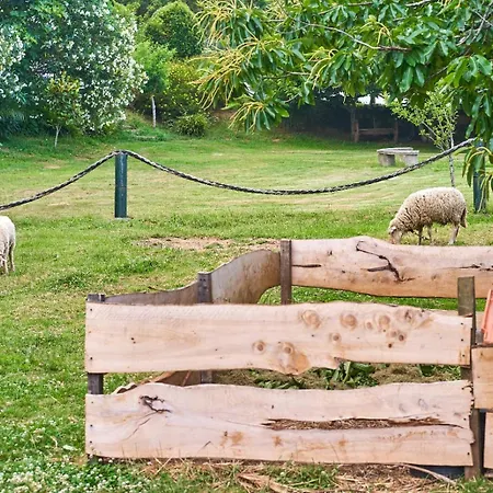 Sky House By Everkind