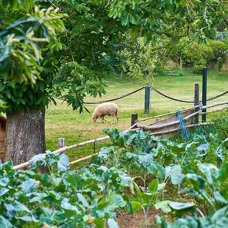 Dom wakacyjny Sky House By Everkind *