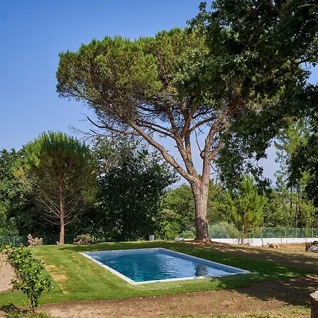 度假居 Sky House By Everkind Bicas