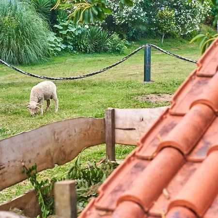 Sky House By Everkind * Bicas