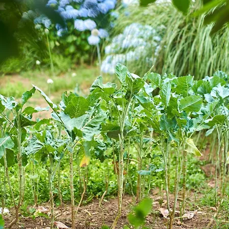 Sky House By Everkind 度假居