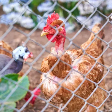 Sky House By Everkind Dom wakacyjny