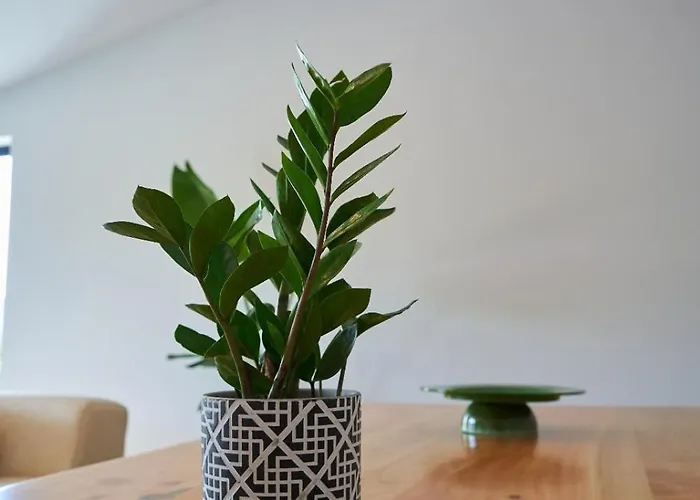 Sky House By Everkind 別荘 *