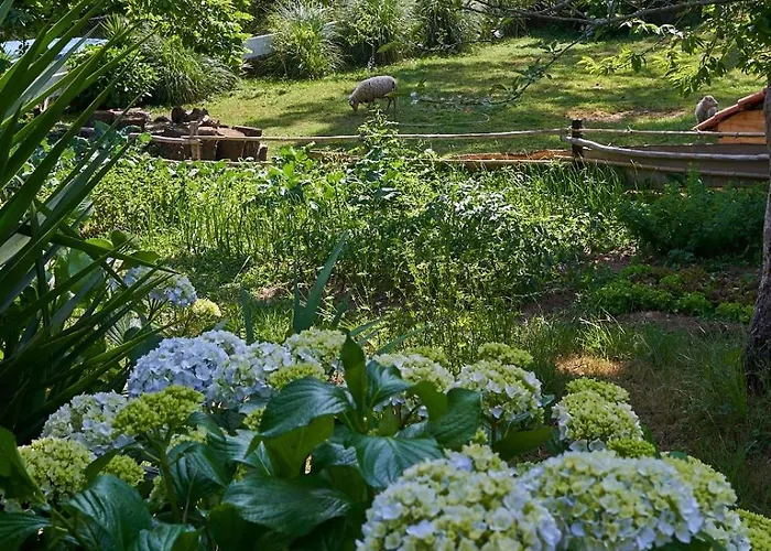 Sky House By Everkind * Bicas