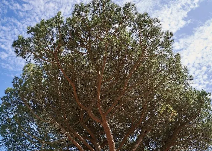 Sky House By Everkind