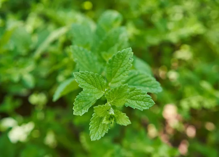 Sky House By Everkind 別荘