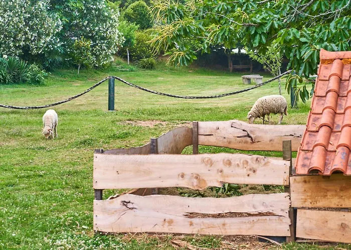 Sky House By Everkind