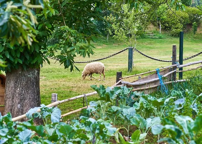 別荘 Sky House By Everkind *