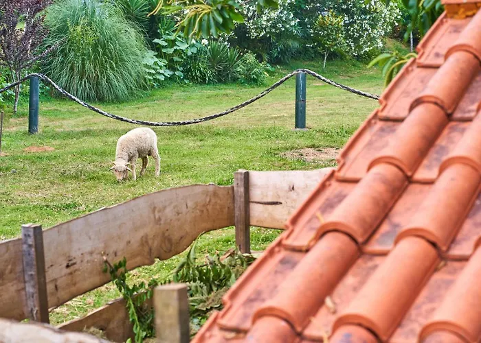 Sky House By Everkind * Bicas