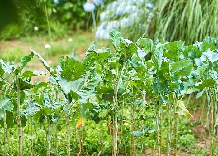 Sky House By Everkind 別荘