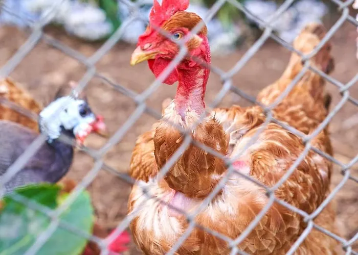 Sky House By Everkind 別荘